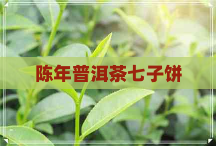 陈年普洱茶七子饼