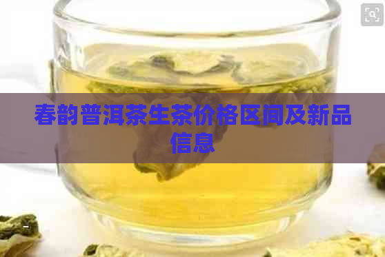 春韵普洱茶生茶价格区间及新品信息