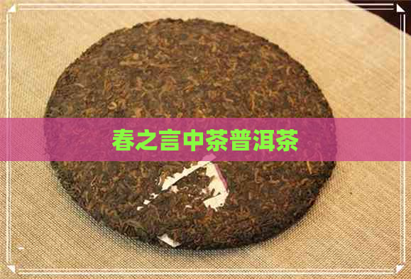 春之言中茶普洱茶