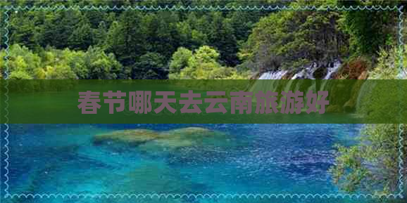 春节哪天去云南旅游好