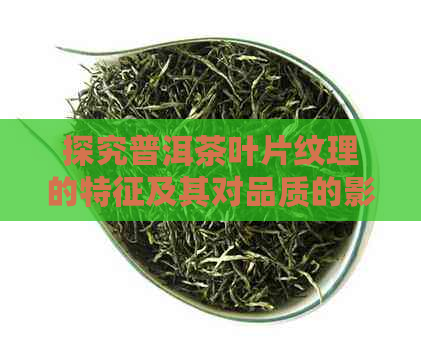 探究普洱茶叶片纹理的特征及其对品质的影响