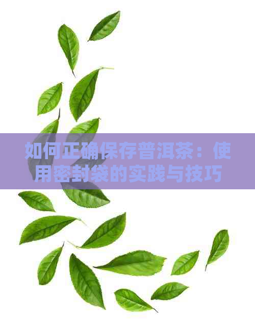 如何正确保存普洱茶：使用密封袋的实践与技巧