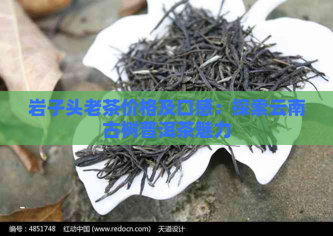 岩子头老茶价格及口感：探索云南古树普洱茶魅力