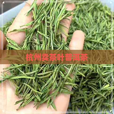 杭州卖茶叶普洱茶