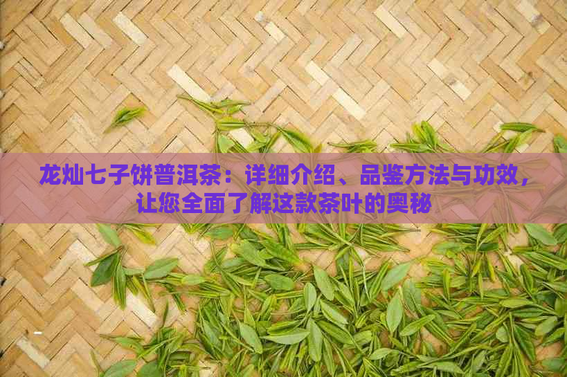 龙灿七子饼普洱茶：详细介绍、品鉴方法与功效，让您全面了解这款茶叶的奥秘