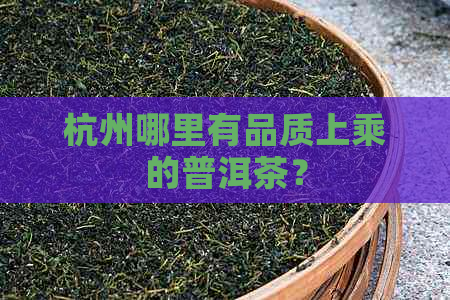 杭州哪里有品质上乘的普洱茶？