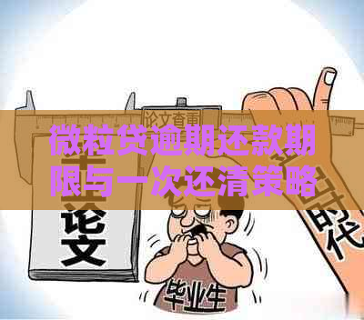 微粒贷逾期还款期限与一次还清策略：详细解答与建议