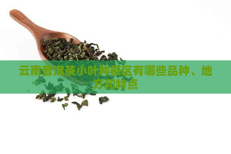 云南普洱茶小叶种茶区有哪些品种、地方和特点