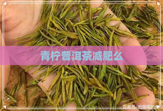 青柠普洱茶减肥么