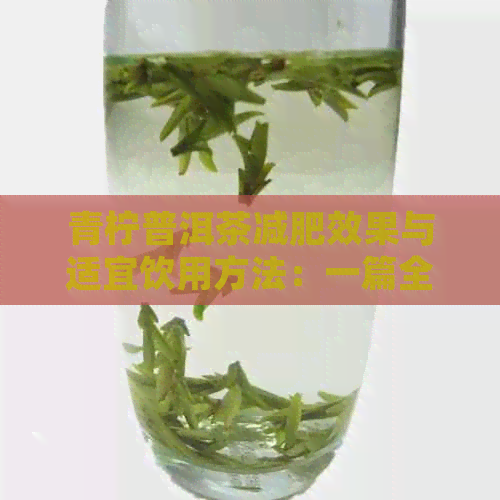 青柠普洱茶减肥效果与适宜饮用方法：一篇全面解答用户疑问的文章