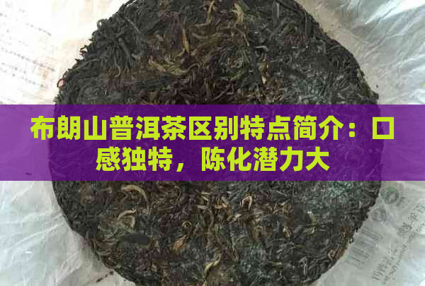 布朗山普洱茶区别特点简介：口感独特，陈化潜力大