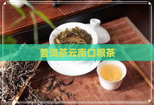 普洱茶云南口粮茶