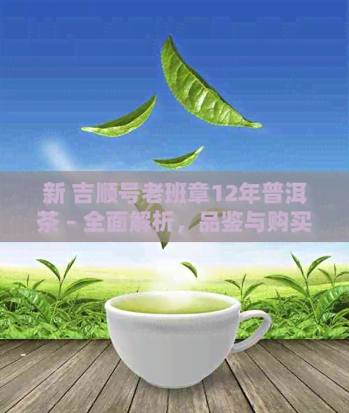 新 吉顺号老班章12年普洱茶 - 全面解析，品鉴与购买指南