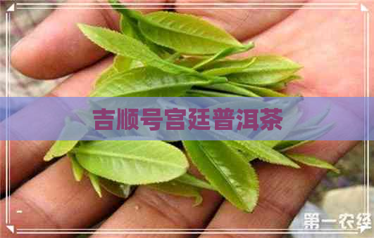 吉顺号宫廷普洱茶