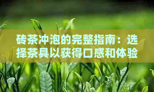 砖茶冲泡的完整指南：选择茶具以获得口感和体验