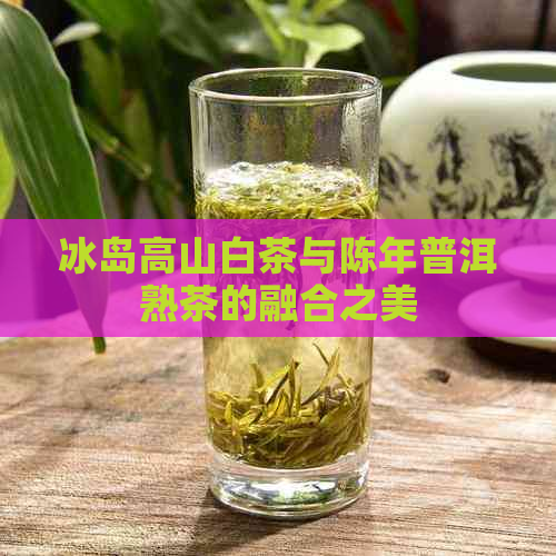 冰岛高山白茶与陈年普洱熟茶的融合之美