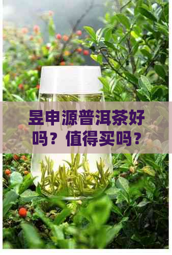 昱申源普洱茶好吗？值得买吗？价格表一览