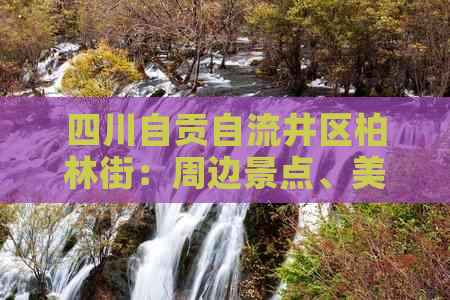 四川自贡自流井区柏林街：周边景点、美食、住宿及交通攻略一览