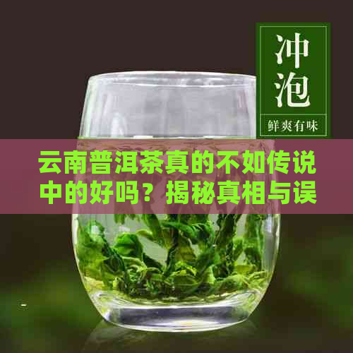 云南普洱茶真的不如传说中的好吗？揭秘真相与误区