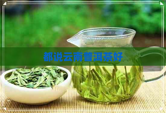 都说云南普洱茶好