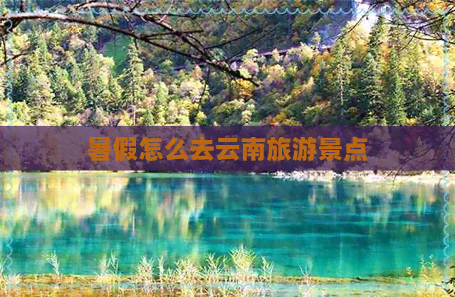 暑假怎么去云南旅游景点