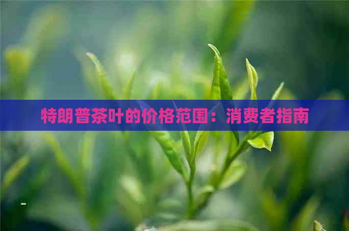 特朗普茶叶的价格范围：消费者指南