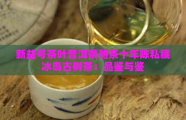 新益号茶叶普洱茶熟茶十年陈私藏冰岛古树茶：品鉴与鉴