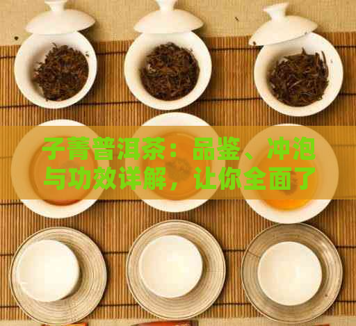 子菁普洱茶：品鉴、冲泡与功效详解，让你全面了解这款茶叶的魅力