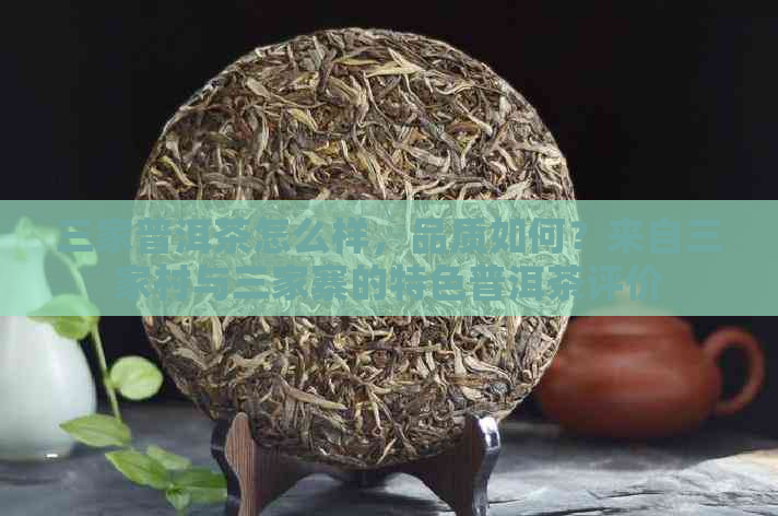 三家普洱茶怎么样，品质如何？来自三家村与三家寨的特色普洱茶评价