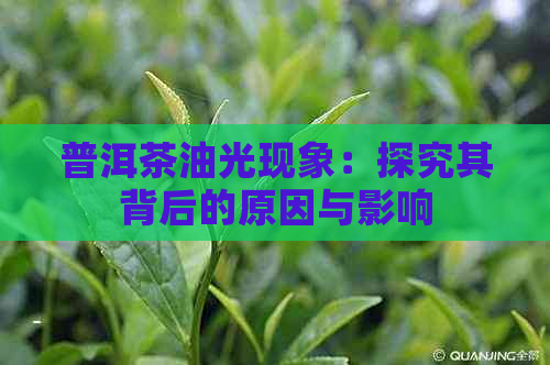 普洱茶油光现象：探究其背后的原因与影响