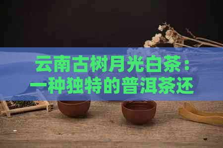 云南古树月光白茶：一种独特的普洱茶还是白茶？