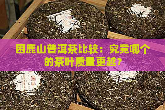 困鹿山普洱茶比较：究竟哪个的茶叶质量更越？