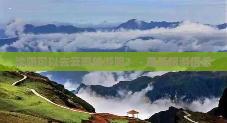 沈阳可以去云南旅游吗？ - 最新旅游信息