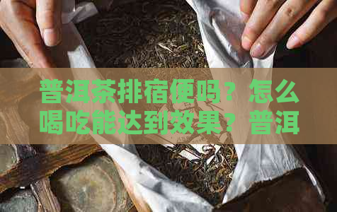 普洱茶排宿便吗？怎么喝吃能达到效果？普洱茶真的有排便的功效吗？