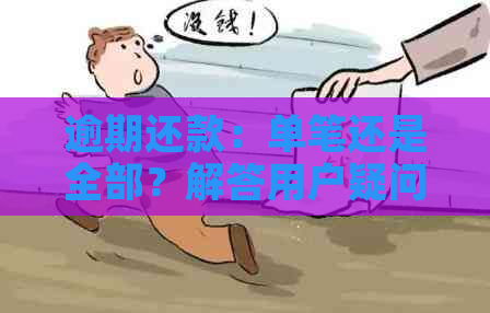 逾期还款：单笔还是全部？解答用户疑问，全面解决相关问题