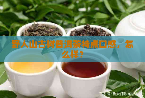 野人山古树普洱茶特点口感，怎么样？