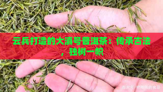 云兵打造的大滇号普洱茶：传承古法，独树一帜