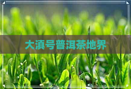 大滇号普洱茶地界