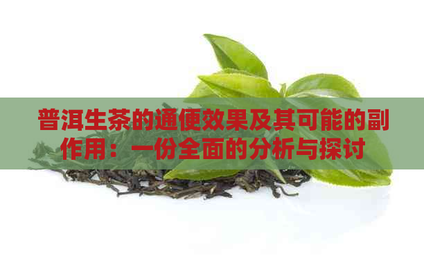 普洱生茶的通便效果及其可能的副作用：一份全面的分析与探讨