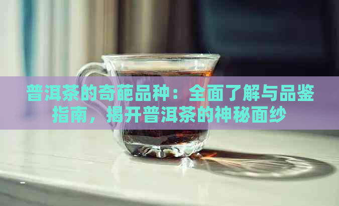 普洱茶的奇葩品种：全面了解与品鉴指南，揭开普洱茶的神秘面纱