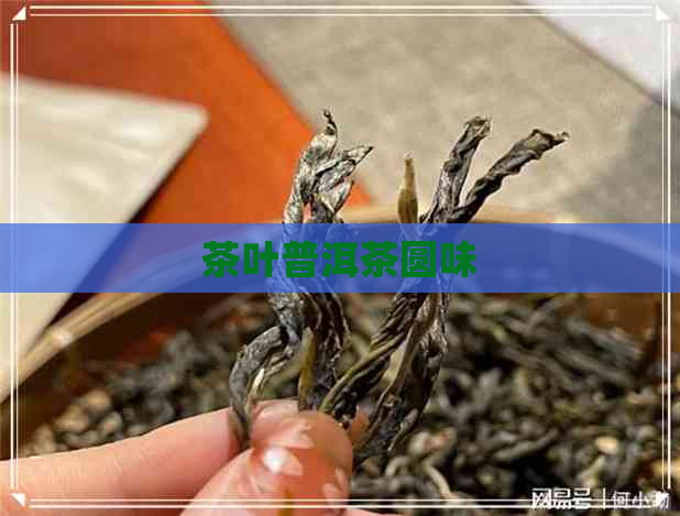 茶叶普洱茶圆味