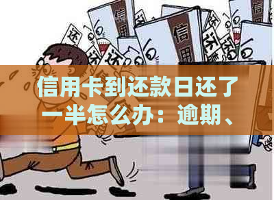 信用卡到还款日还了一半怎么办：逾期、出账单及补救措