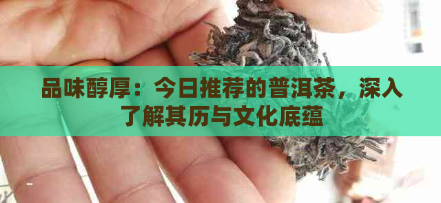 品味醇厚：今日推荐的普洱茶，深入了解其历与文化底蕴