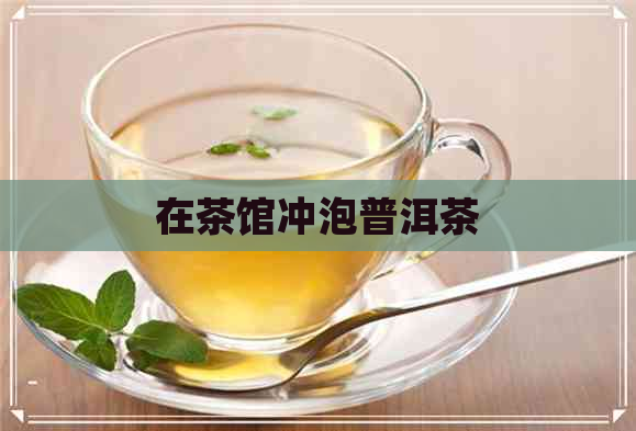 在茶馆冲泡普洱茶