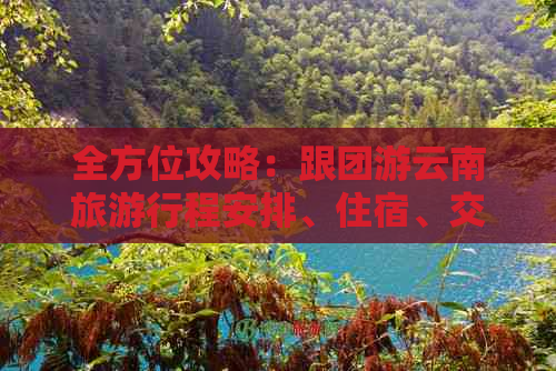 全方位攻略：跟团游云南旅     程安排、住宿、交通及景点推荐一应俱全！