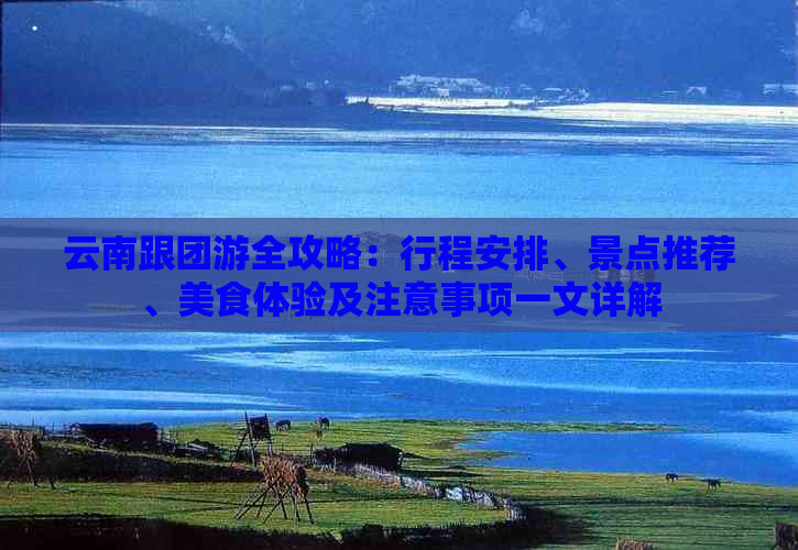 云南跟团游全攻略：行程安排、景点推荐、美食体验及注意事项一文详解