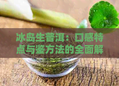 冰岛生普洱：口感特点与鉴方法的全面解析