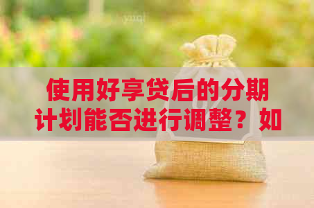 使用好享贷后的分期计划能否进行调整？如何操作？