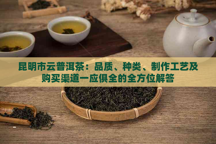 昆明市云普洱茶：品质、种类、制作工艺及购买渠道一应俱全的全方位解答