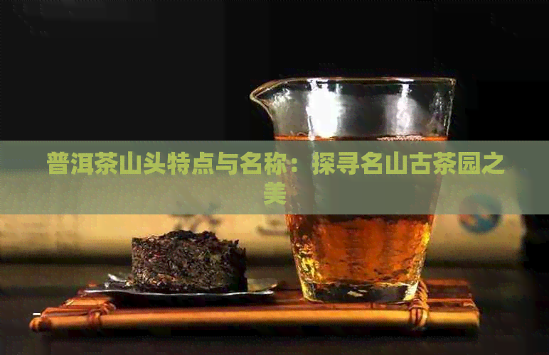 普洱茶山头特点与名称：探寻名山古茶园之美